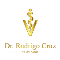 Logo Dr. Rodrigo Cruz